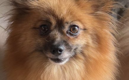 paloma 6 ans