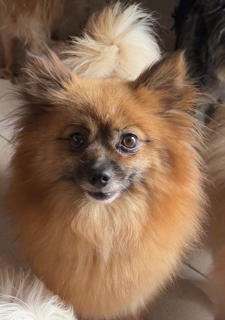 paloma 6 ans